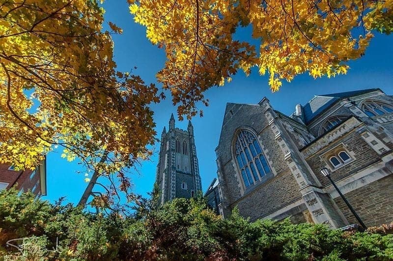 Williams College Rankings, Tuition, Acceptance Rate, etc.