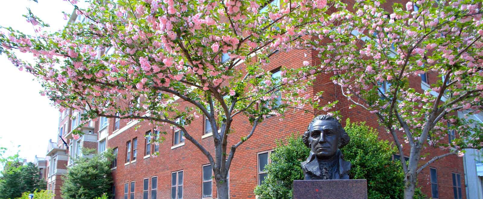 George Washington University 1
