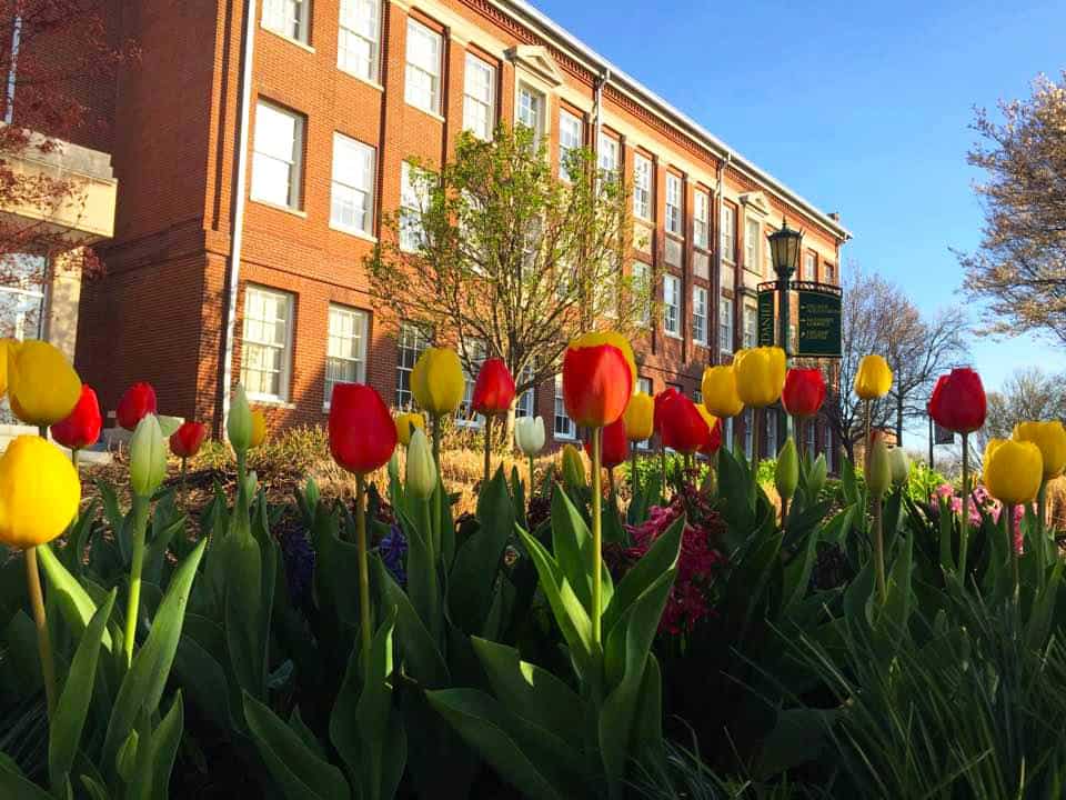 McDaniel College