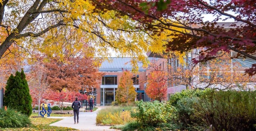 Webster University
