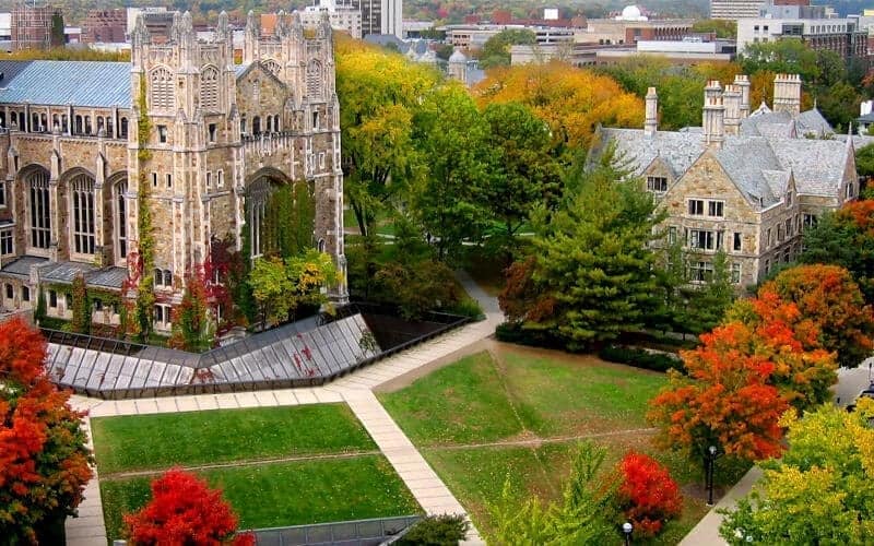 University of Michigan-Ann Arbor | Traditional School