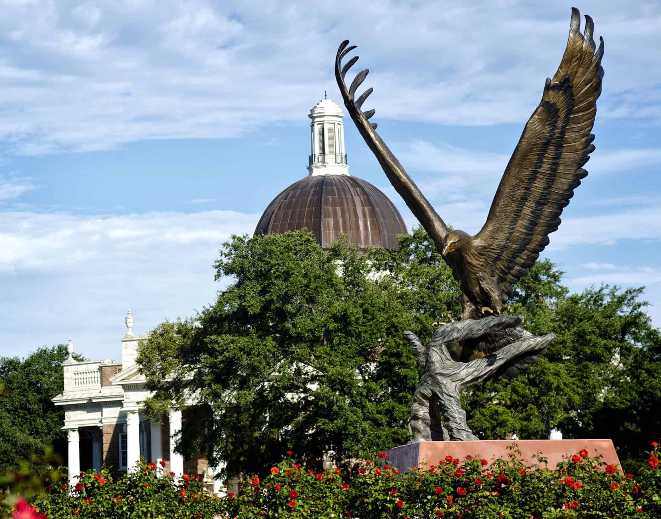 university southern miss