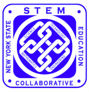 NY STEM 1