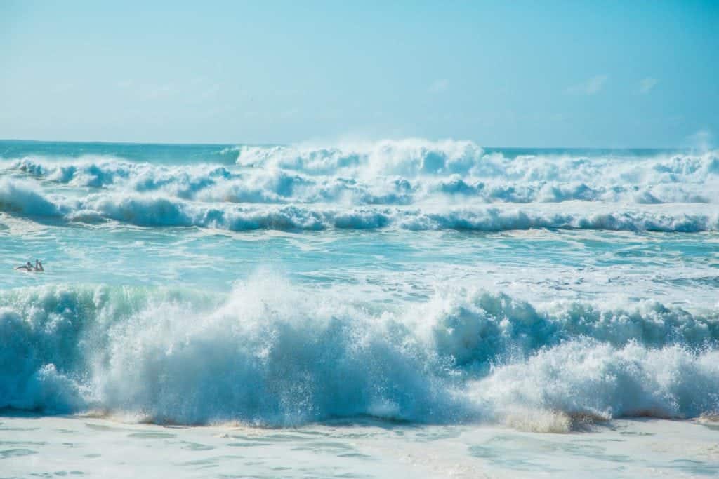 BYU Hawaii SUrf