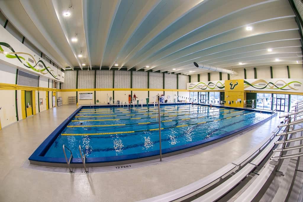 USF pool