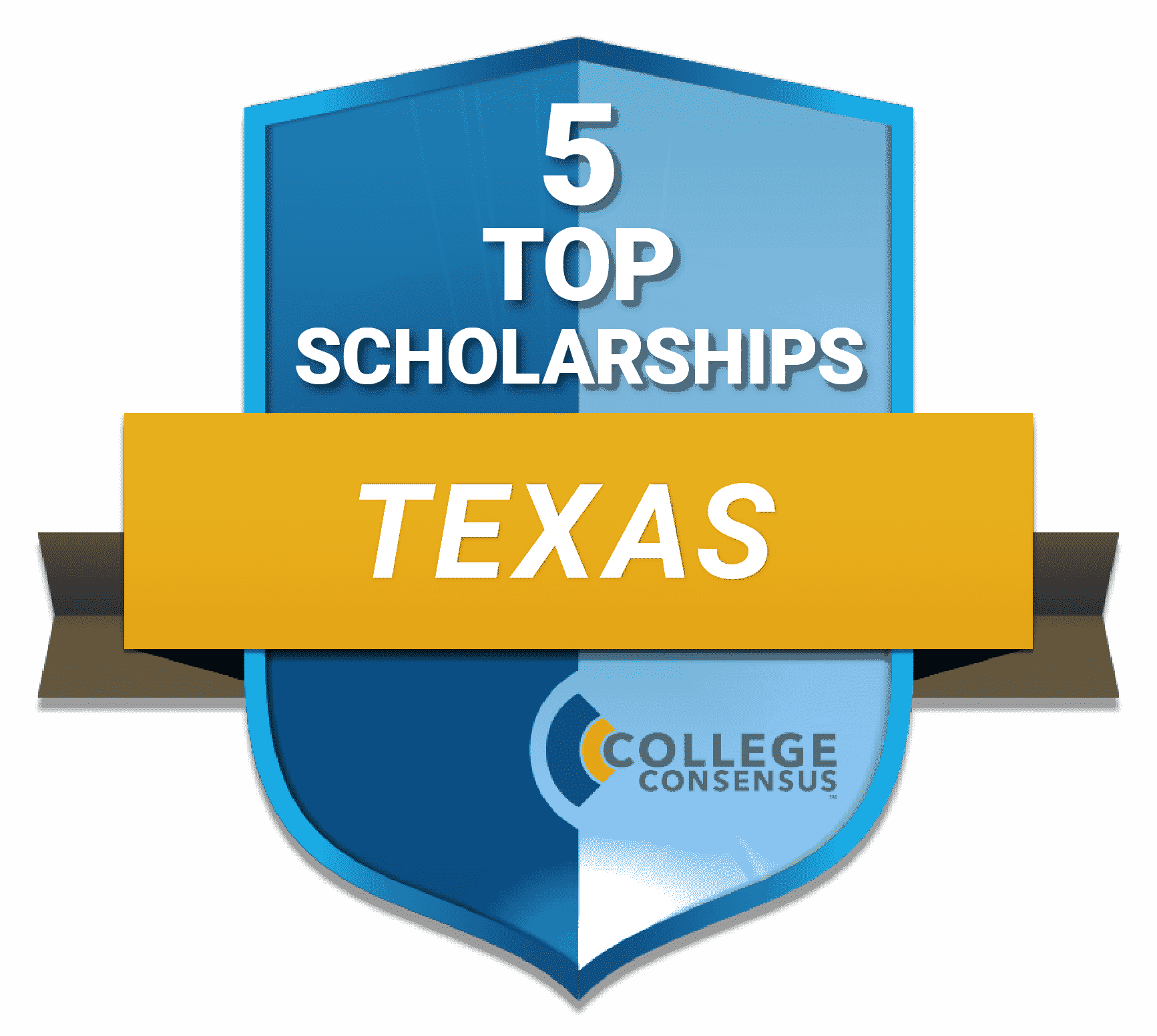 Top 5 Texas Scholarships