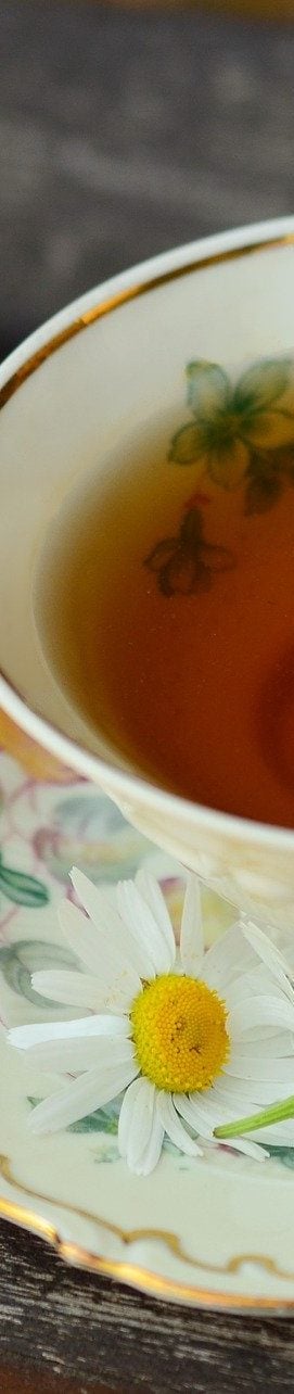 chamomile tea