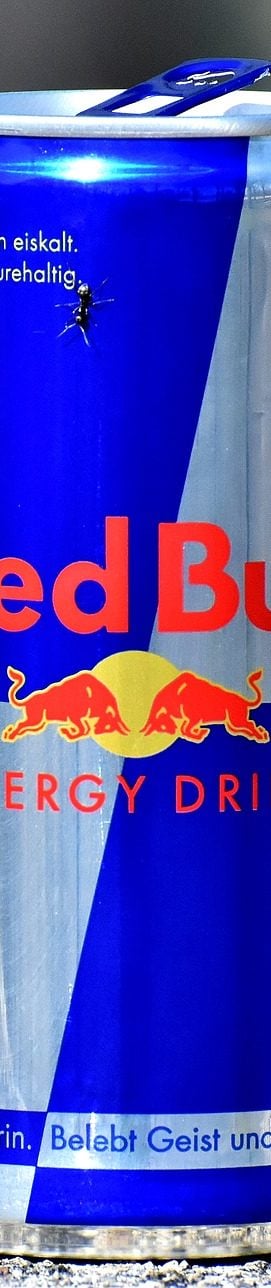 red bull energy college student