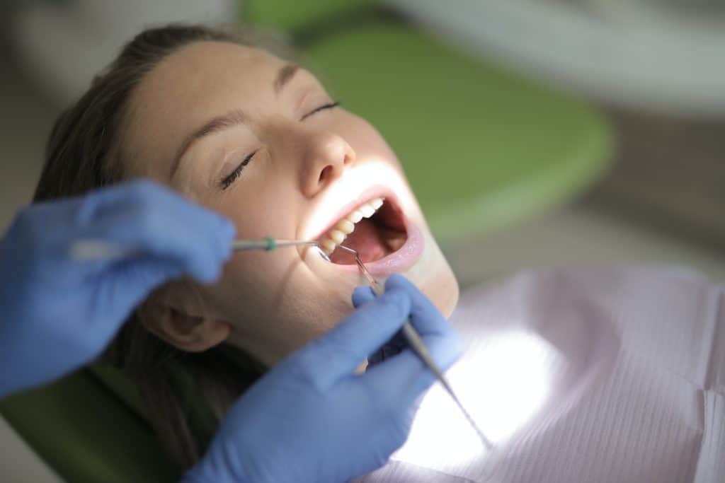 10 Best Degrees for a Career in Dentistry