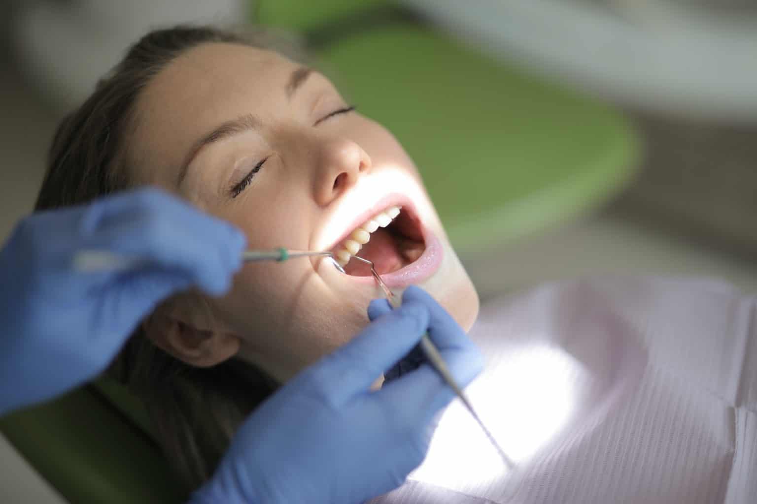 10 Best Degrees for a Career in Dentistry What to study if you want