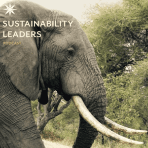 Sustainability Leaders Podcast logo