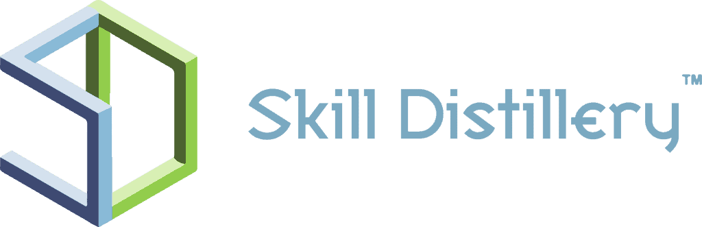 skilldistillery correct stacked blue