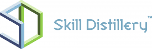 skilldistillery correct stacked blue