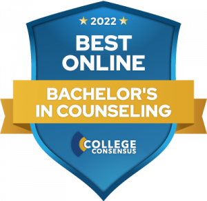 CC Best Online Bachelors in Counseling