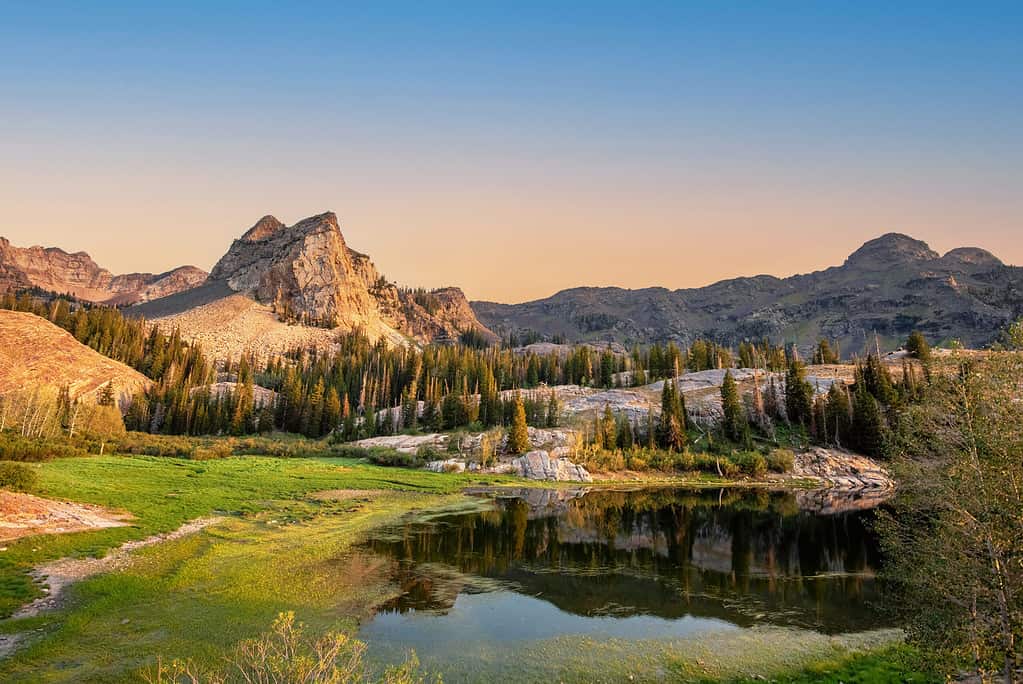 AdobeStock 501932685