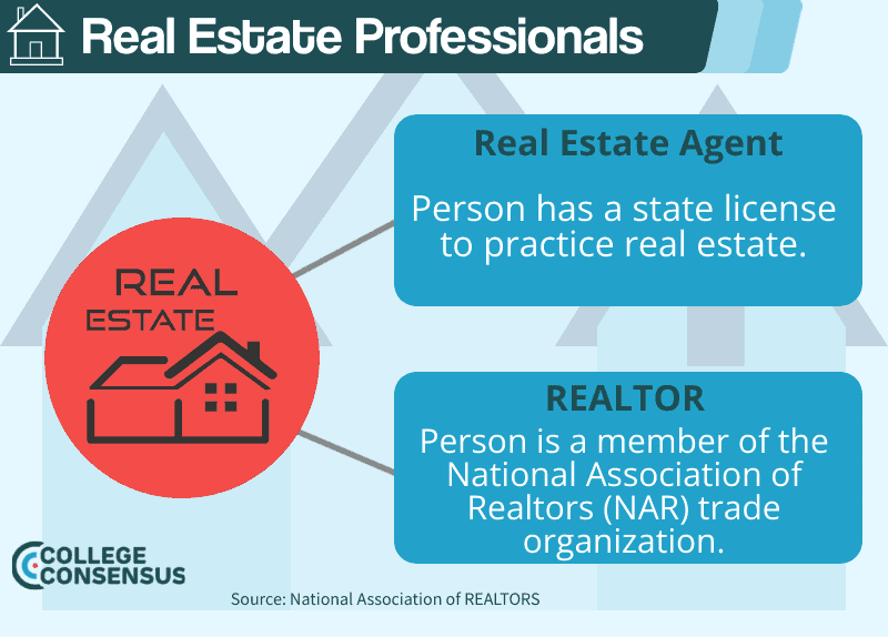 Real Estate Agent vs REALTOR